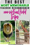 Are you looking for Teacher Recommended: The BEST Zoo Virtual Field Trips for Elementary? Be sure to check out these EPIC virtual field trip to a zoo!