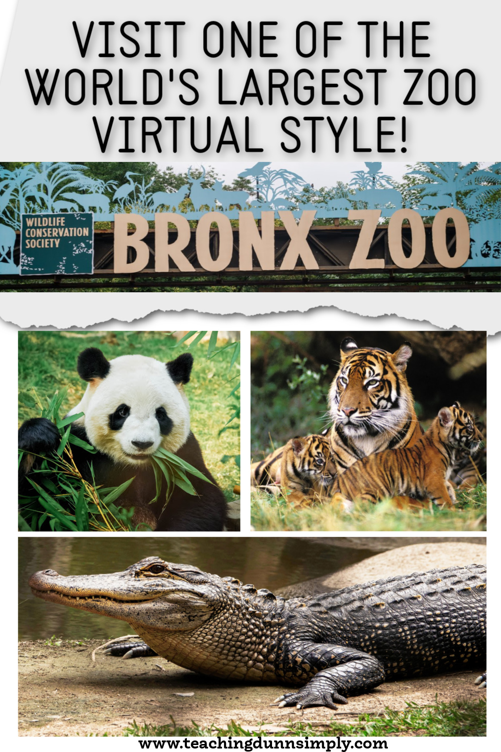 virtual trip bronx zoo