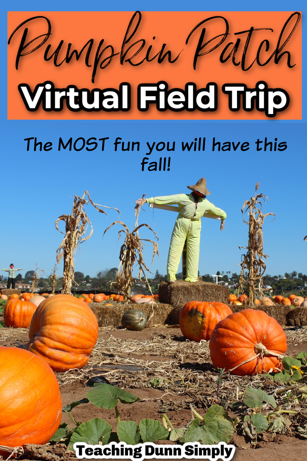virtual-pumpkin-patch-field-trip