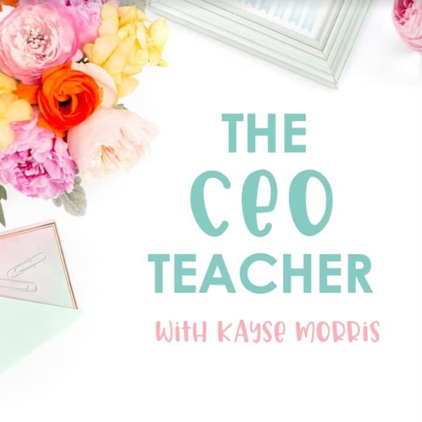 The CEO teacher academy was a total game changer for me!